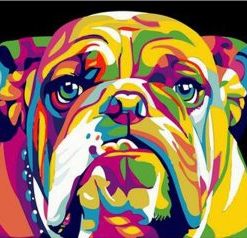 Abstract Bulldog Paint By Number