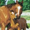 Horse And Baby Paint By Number