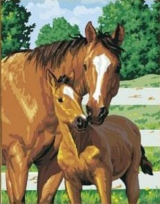 Horse And Baby Paint By Number