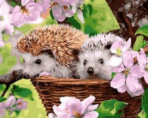 Adorable Hedgehog Paint By Number