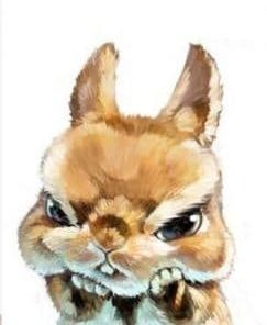 Angry Rabbit Paint By Number
