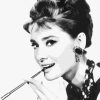 Audrey Hepburn Paint By Number