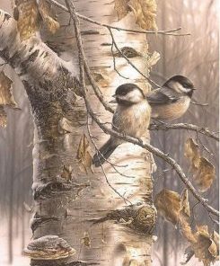 Bird Birch Paint By Number
