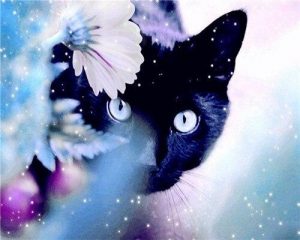 Black Cat In Flowers Paint By Number