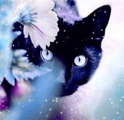 Black Cat In Flowers Paint By Number