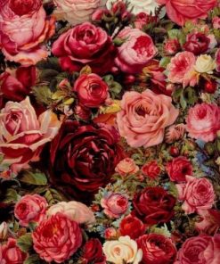 Blooming Roses Garden Paint By Number