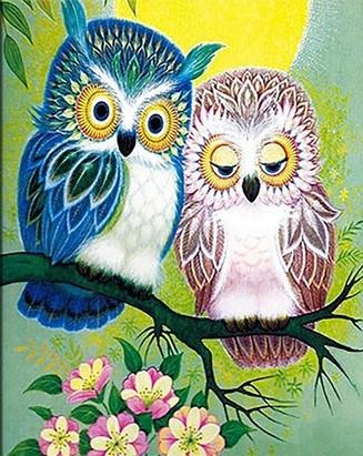 Owl Lovers Couple Paint By Numbers