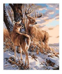 Buck And Doe Paint By Number