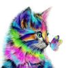 Colored Cat And Butterfly Paint By Number