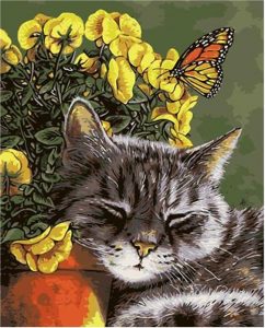 Cat And Butterfly Paint By Number