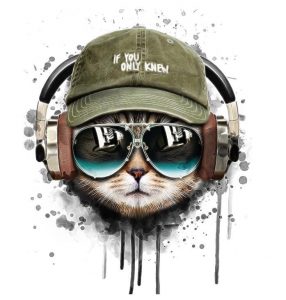 Cat Listening To Music Paint By Number