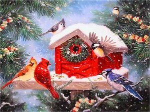 Christmas Bird Feeder Paint By Number