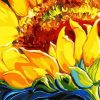 Closeup Sunflower Paint By Number