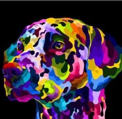 Colorful Dog On Pop Art Paint By Number