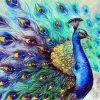 Colorful Peacock Paint By Number