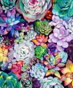 Colorful Succulent Paint By Number