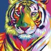 Colorful Tiger Paint By Number