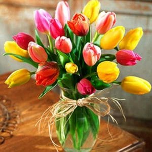 Colorful Tulips Paint By Number