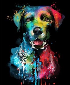 Companion Dog Paint By Number