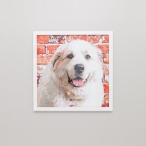 Custom dog painting
