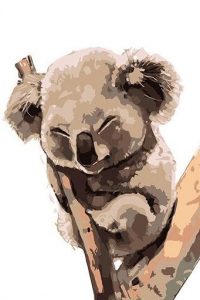 Cute Koala On Tree Paint By Number