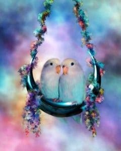 Cute Parakeets Paint By Number