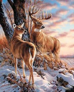 Deer Paint By Number