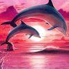 Dolphin In Pink Sky Paint By Number