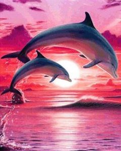 Dolphin In Pink Sky Paint By Number