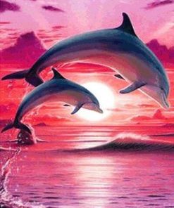 Dolphin In Pink Sky Paint By Number