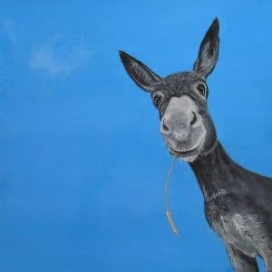 Donkey Portrait Paint By Number