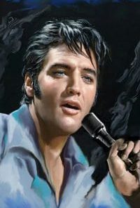 Elvis Presley Paint By Number