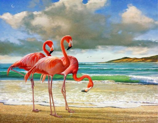 Flamingo At Beach Paint By Number