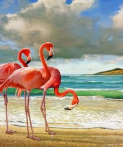 Flamingo At Beach Paint By Number