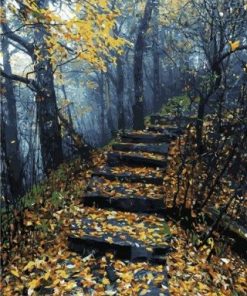 Forest Stairs Path Paint By Number