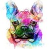 French Bulldog Paint By Number