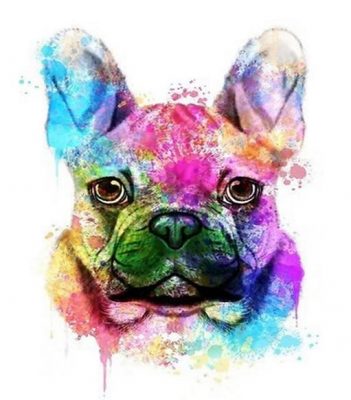 French Bulldog Paint By Number