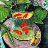 Goldfish Bowl Still Life Paint By Number
