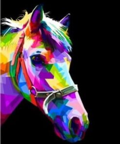 Horse Head On Color Paint By Number