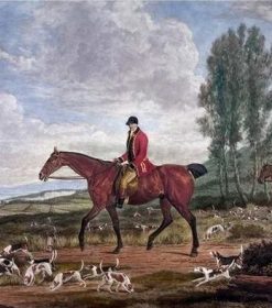 Horses And Hunting Hounds Paint By Number