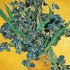 Irises Flower Vincent Van Gogh Paint By Number