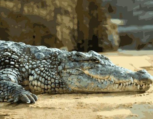 Lazy Alligator Paint By Number