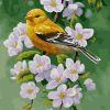 Little Yellow Bird Paint By Number