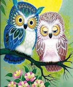 Owl Lovers Couple Paint By Number