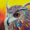 Colorful Owl Portrait Paint By Number
