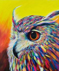 Colorful Owl Portrait Paint By Number