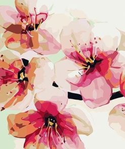 Peach Blossom paint by numbers