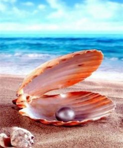 Pearls On The Beach Paint By Number