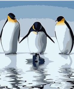 Penguins Birds Paint By Number