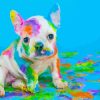 Pigment Dog Paint By Number